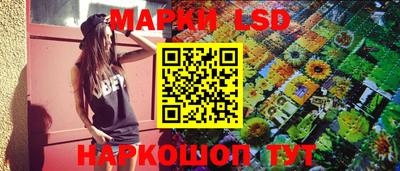 дживик Моздок