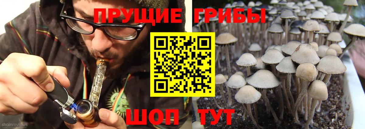 Псилоцибиновые грибы Psilocybe  Галлюциногенные грибы мухоморы  Гусиноозёрск  Вход с VPN 